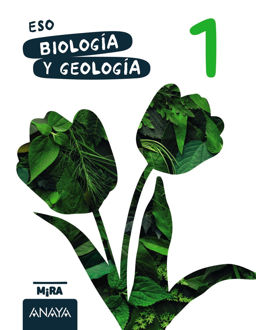 Biología y Geología 1. Grupo Anaya (ANAYA EDUCACIÓN) 9788414355718