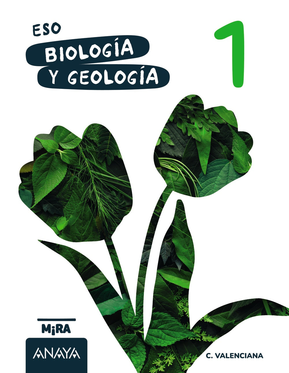 Biología y Geología 1. Grupo Anaya (ANAYA EDUCACIÓN) 9788414355794