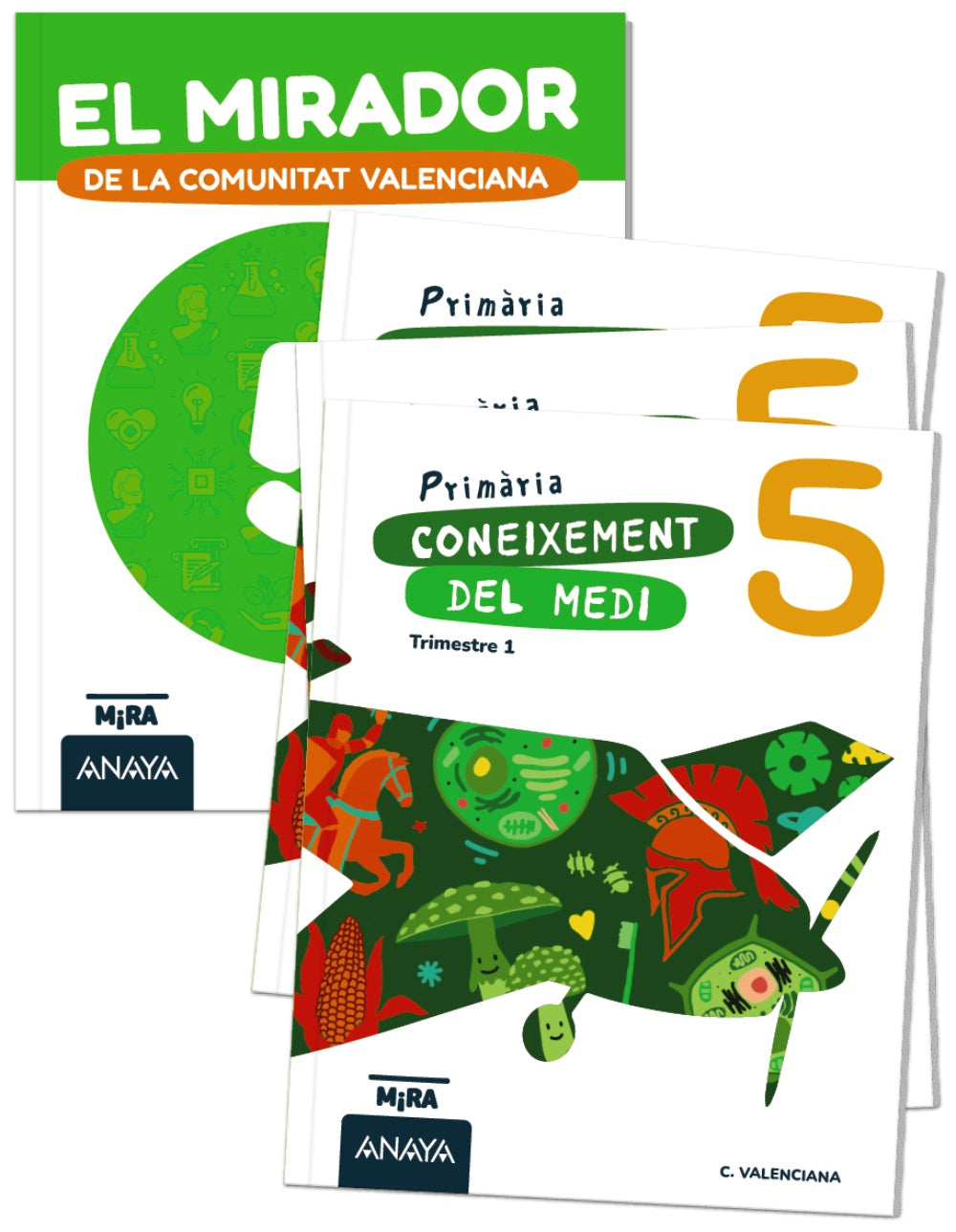 Coneixement del medi 5 + El mirador de la Comunitat Valenciana. Grupo Anaya (ANAYA EDUCACIÓN) 9788414361399 Imagen principal del producto