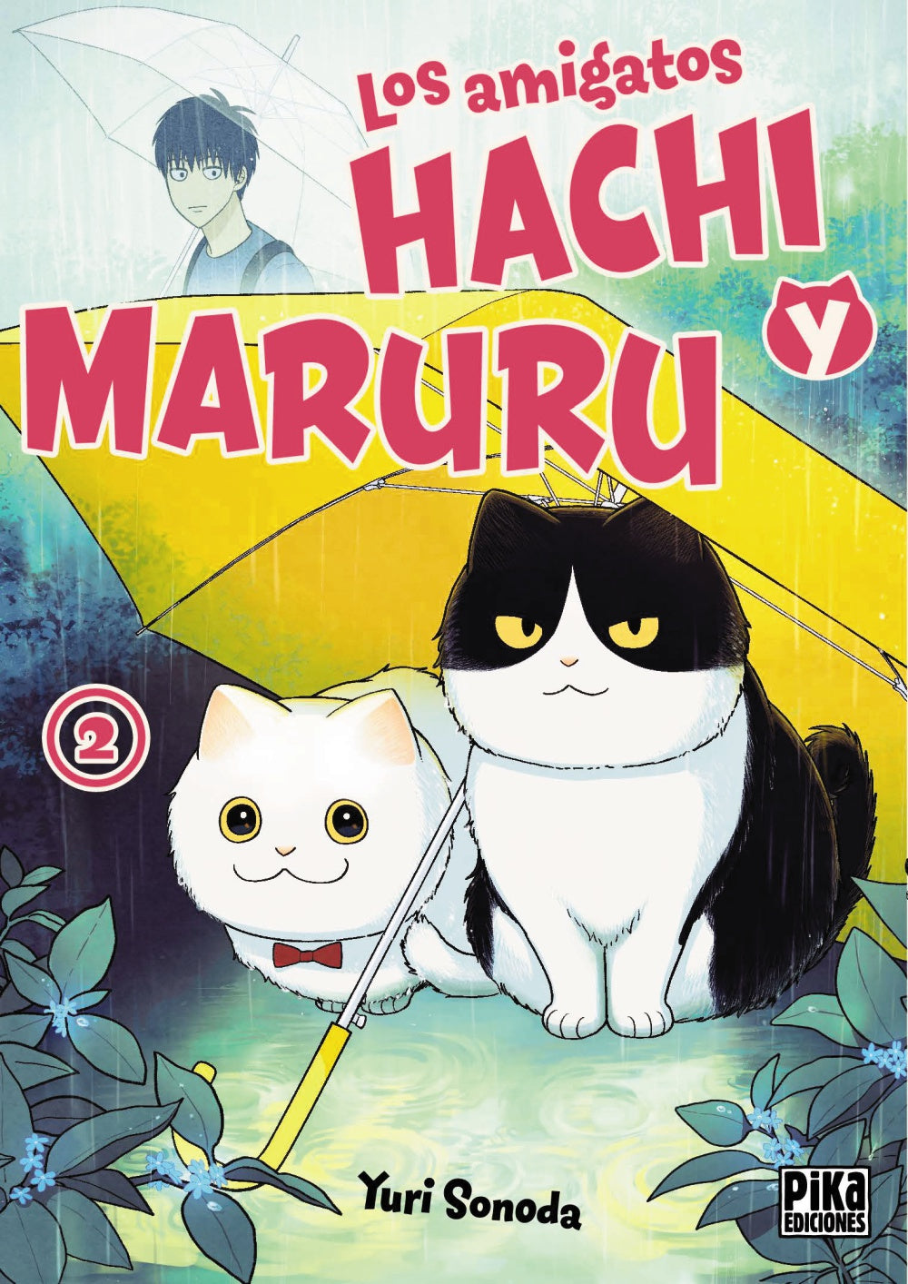 Los amigatos Hachi y Maruru, 2