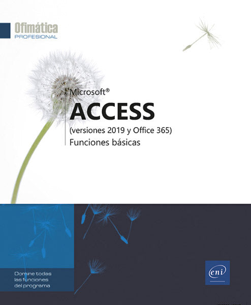 Acces 2019: Funciones básicas