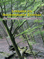 Lurraren eta Ingurumenaren Zientziak Batxilergoa 2. Diez, Belen (Erein Argitaletxea, S.A.) 9788497465663