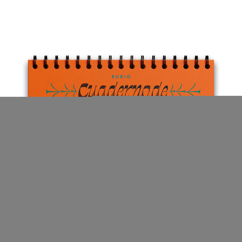 Cuaderno de lettering. Practica caligrafía Curioos paso a paso. Aa. Vv. (Editorial Rubio) 9788417427801 Imagen principal del producto