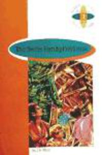 Br - Eso 2 - Swiss Family Robinson. Aa. Vv. (Burlington Books) 9789963479344