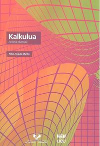 Kalkulua. Ariketa ebatziak. Angulo Martin, Patxi (Udako Euskal Unibertsitatea) 9788484386421