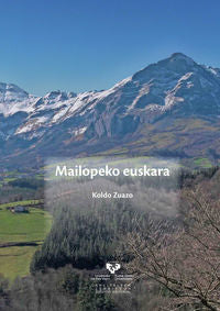 Mailopeko euskara. Zuazo Zelaieta, Koldo (Universidad del País Vasco) 9788498608724 Imagen principal del producto