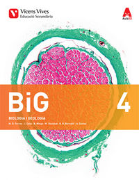 Eso 4 - Big (Biologia I Geologia)  (Cat)  (+ Dossier). Aa. Vv. (Vicens Vives) 9788468242026