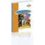 Br - Eso 2 -  The Wizard Of Oz. Aa. Vv. (Burlington Books) 9789963481095