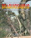 Braquiosaurio: Dinosaurio de Patas largas