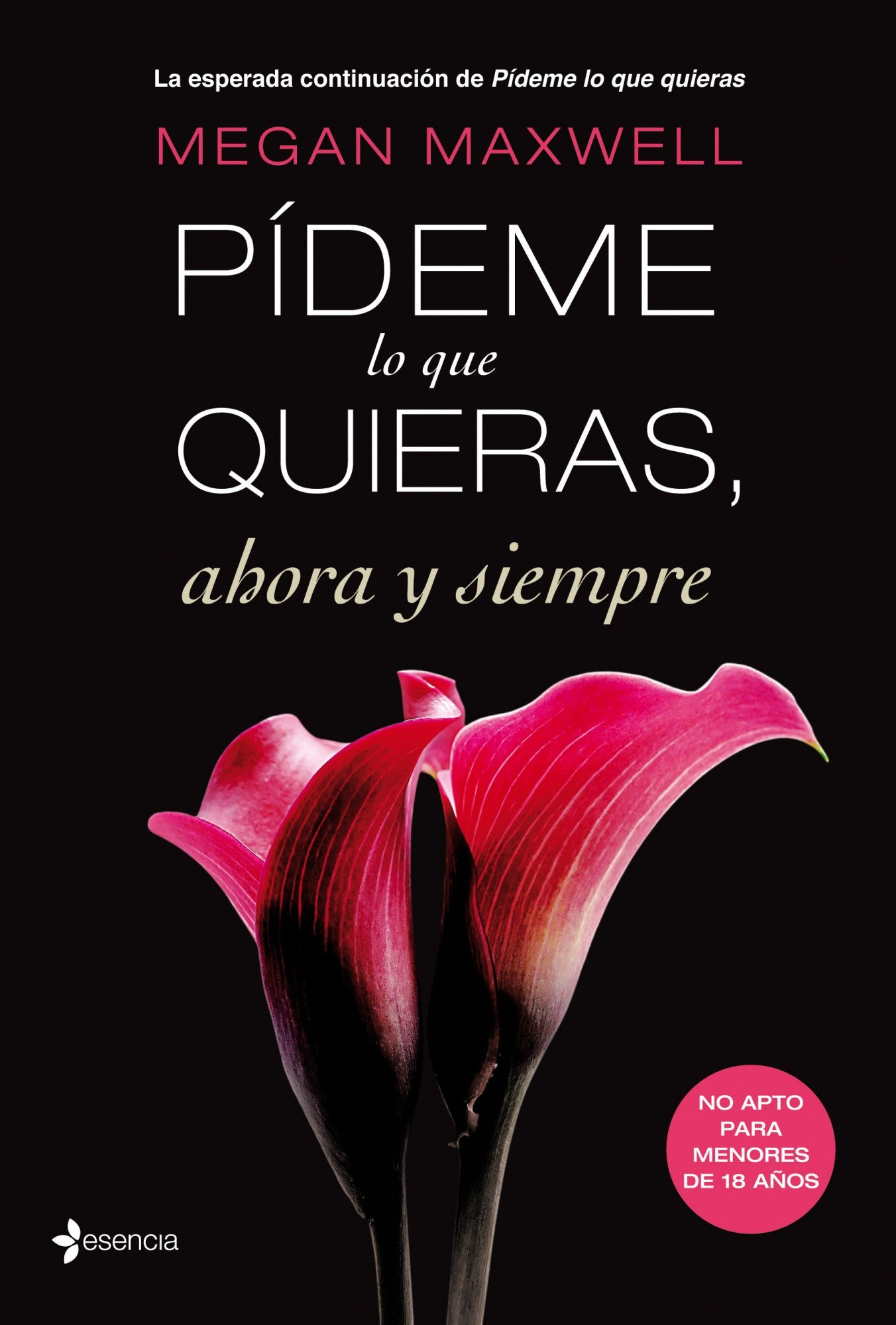 Pídeme lo que quieras, ahora y siempre Imagen principal del producto