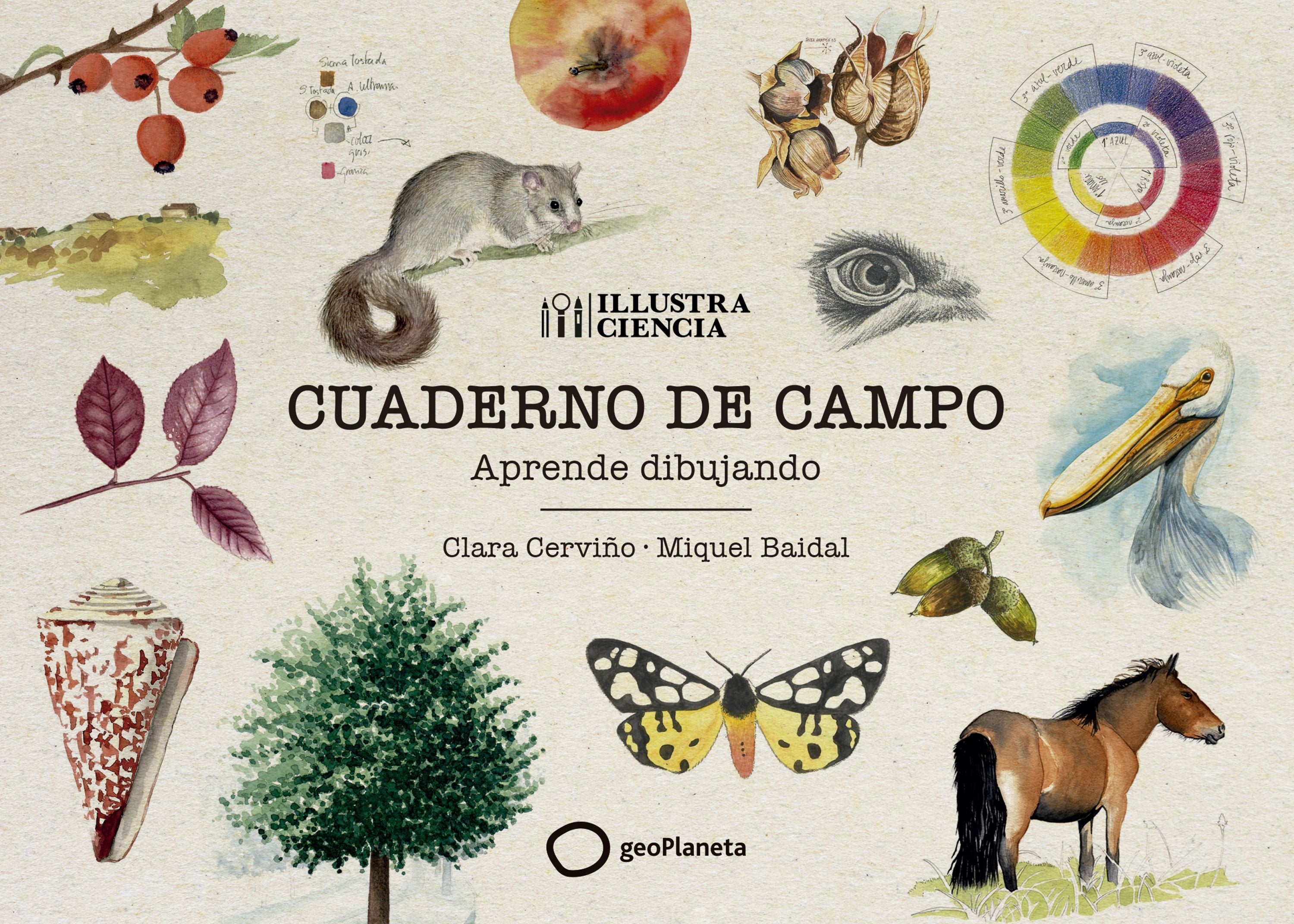 Cuaderno de campo: Aprende dibujando. Clara Cerviño (GeoPlaneta) 9788408291961 Imagen principal del producto