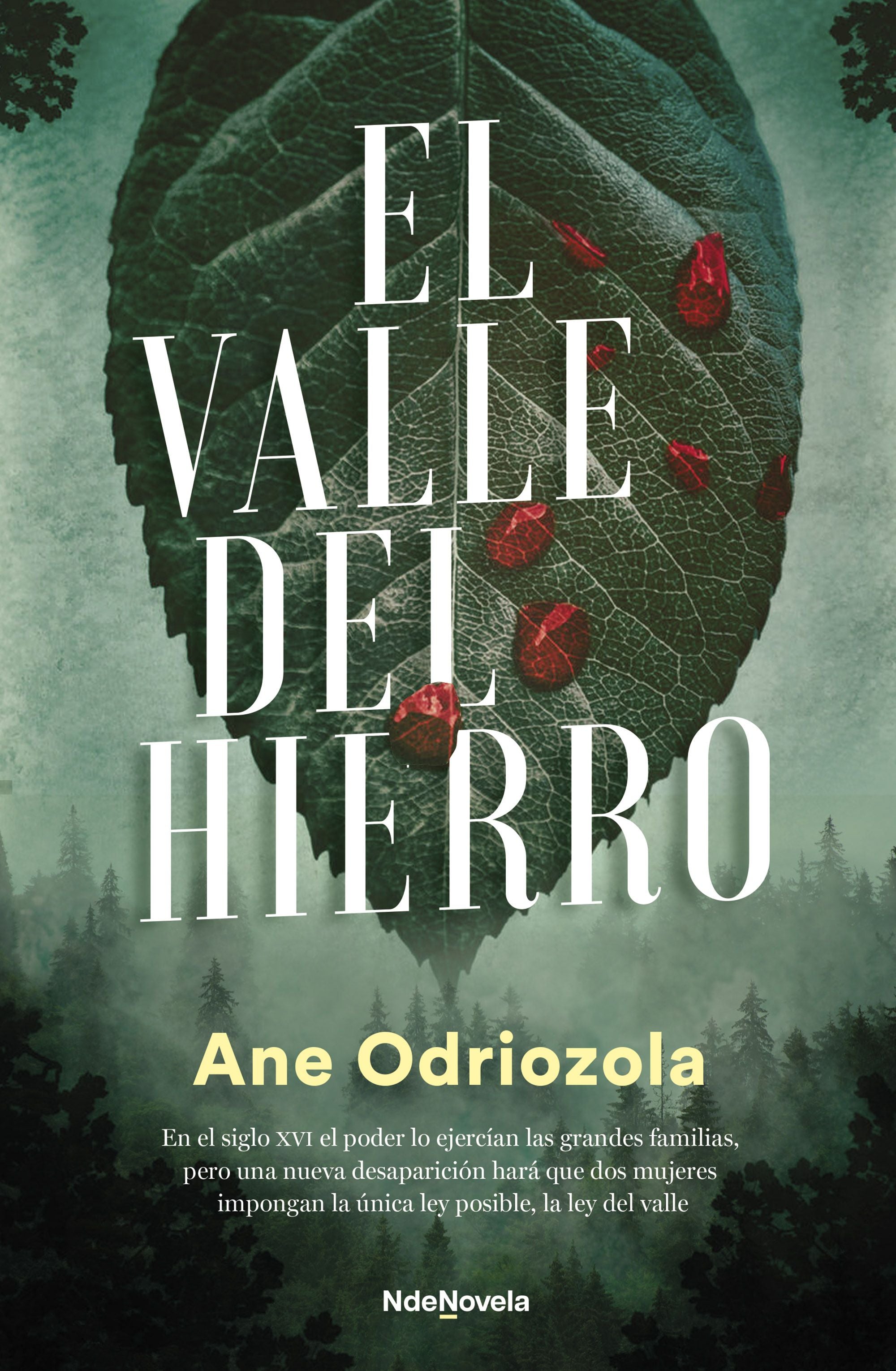 El valle del hierro. Ane Odriozola (NdeNovela) 9788410140035