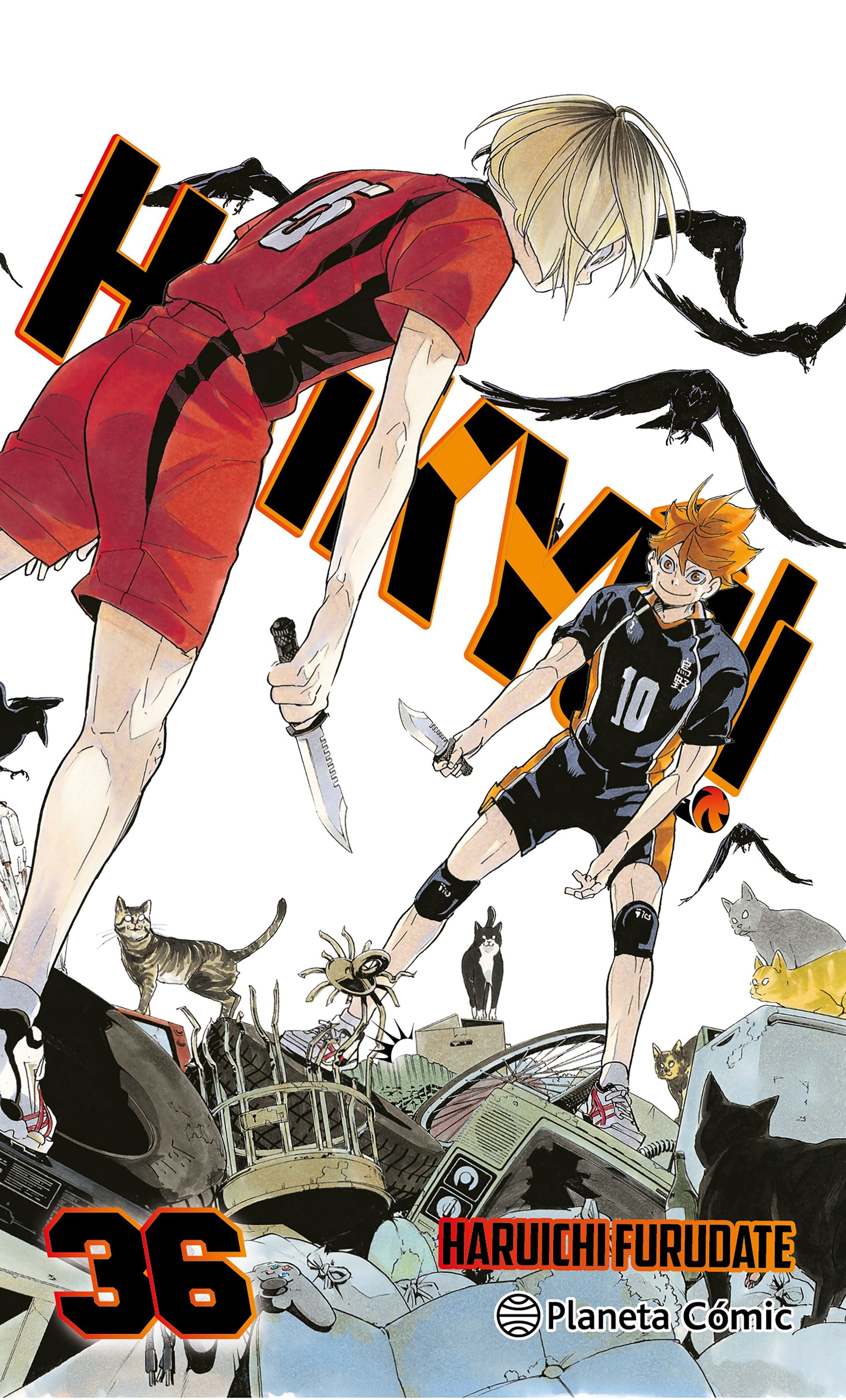 Haikyû!! nº 36/45