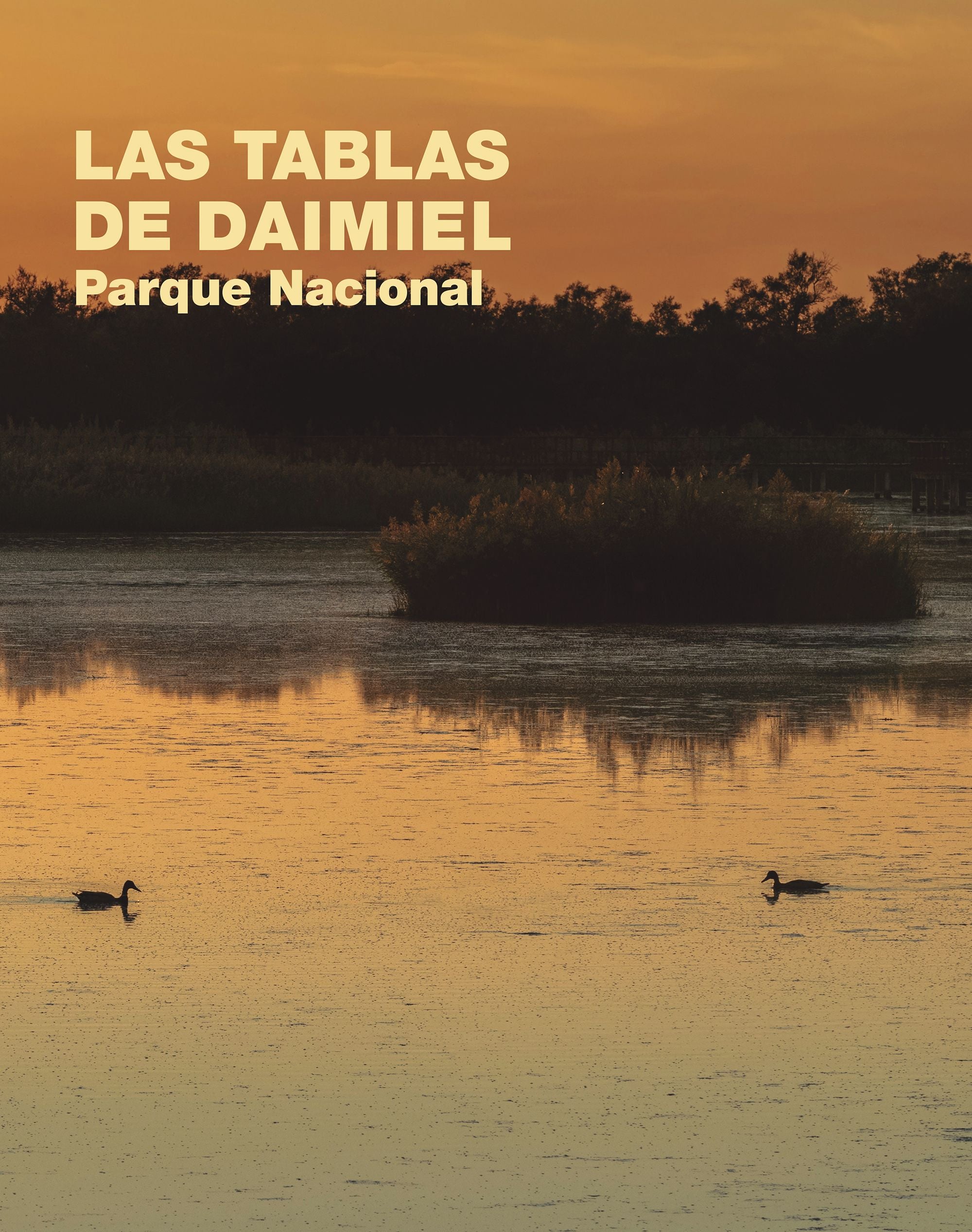 Las Tablas de Daimiel. Parque Nacional. Varios Autores (Lunwerg Editores) 9788408283249 Imagen principal del producto