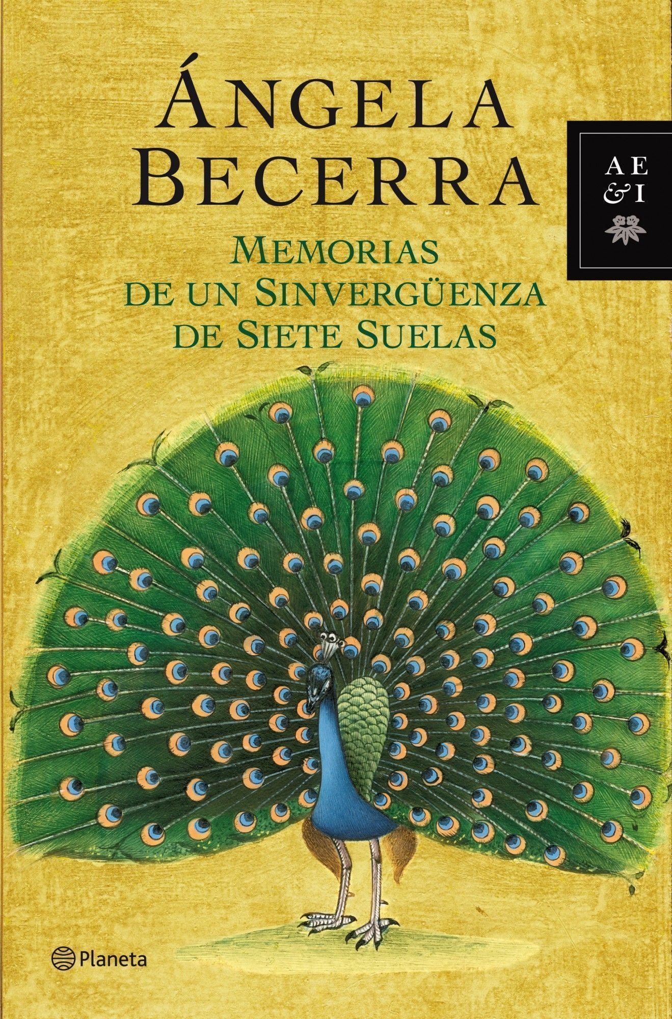 Memorias de un sinvergüenza de siete suelas Imagen principal del producto