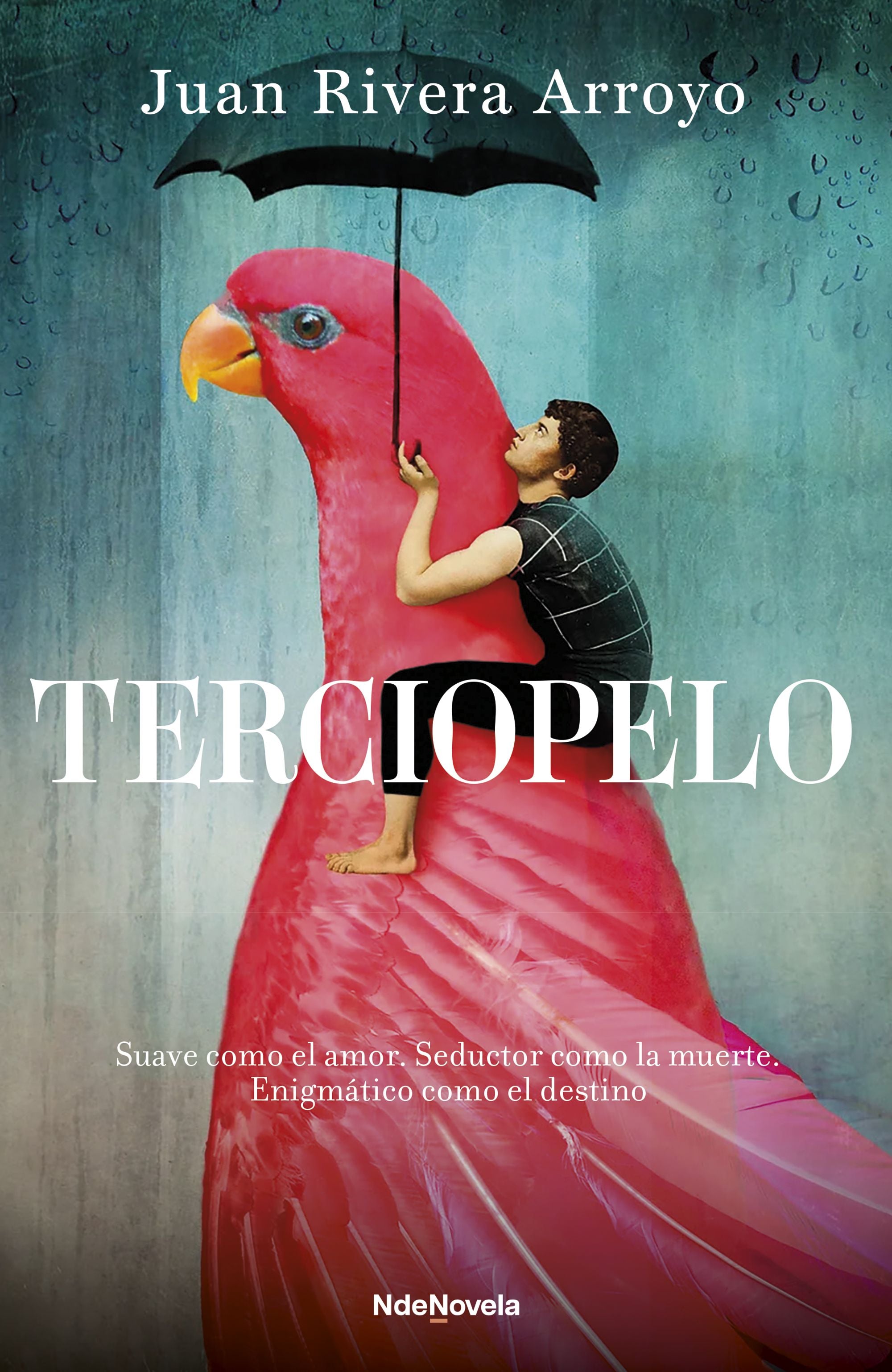 Terciopelo. Juan Rivera Arroyo (NdeNovela) 9788410140158 Imagen principal del producto