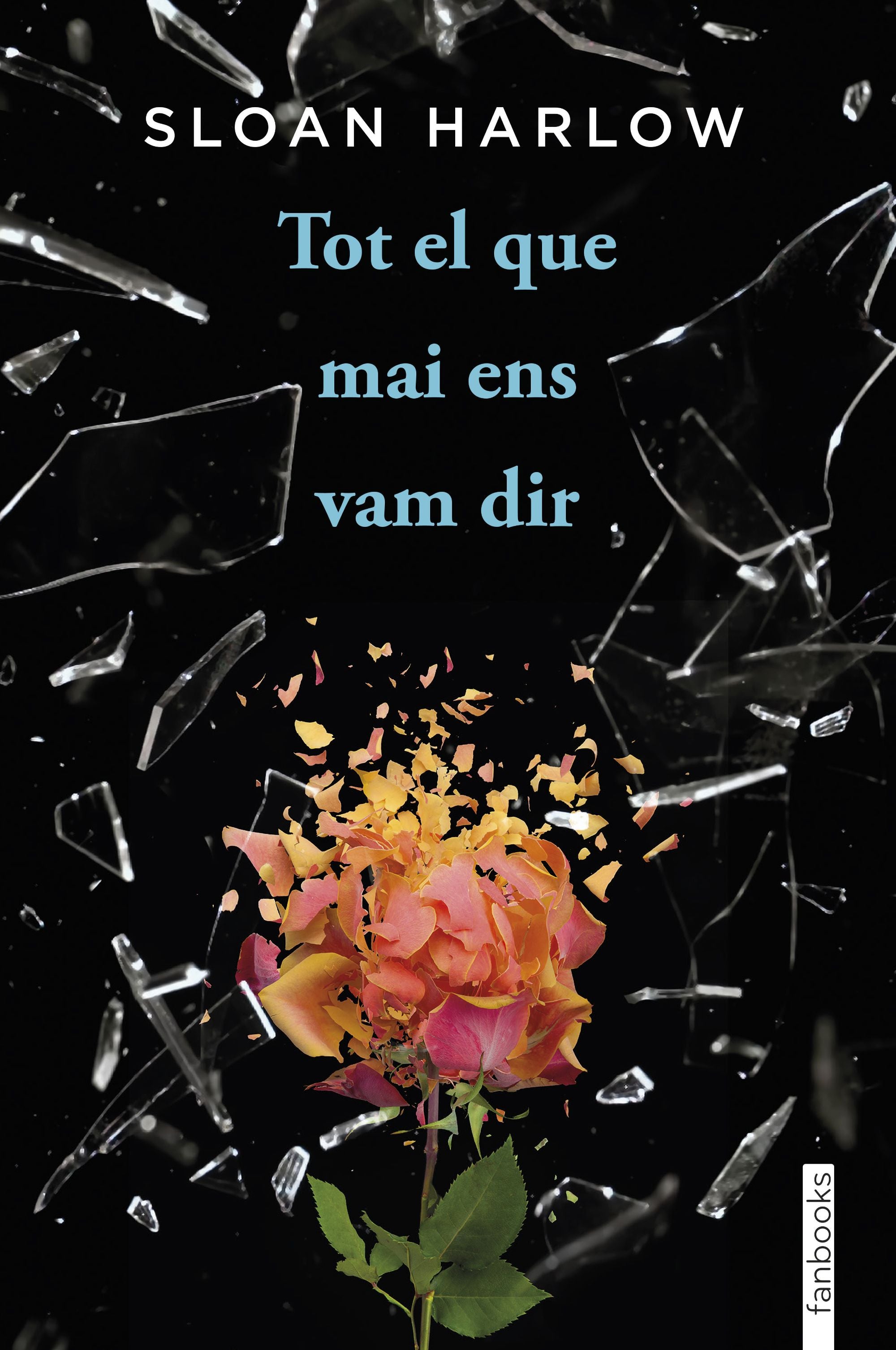 Tot el que mai ens vam dir. Sloan Harlow (fanbooks) 9788410028135 Imagen principal del producto