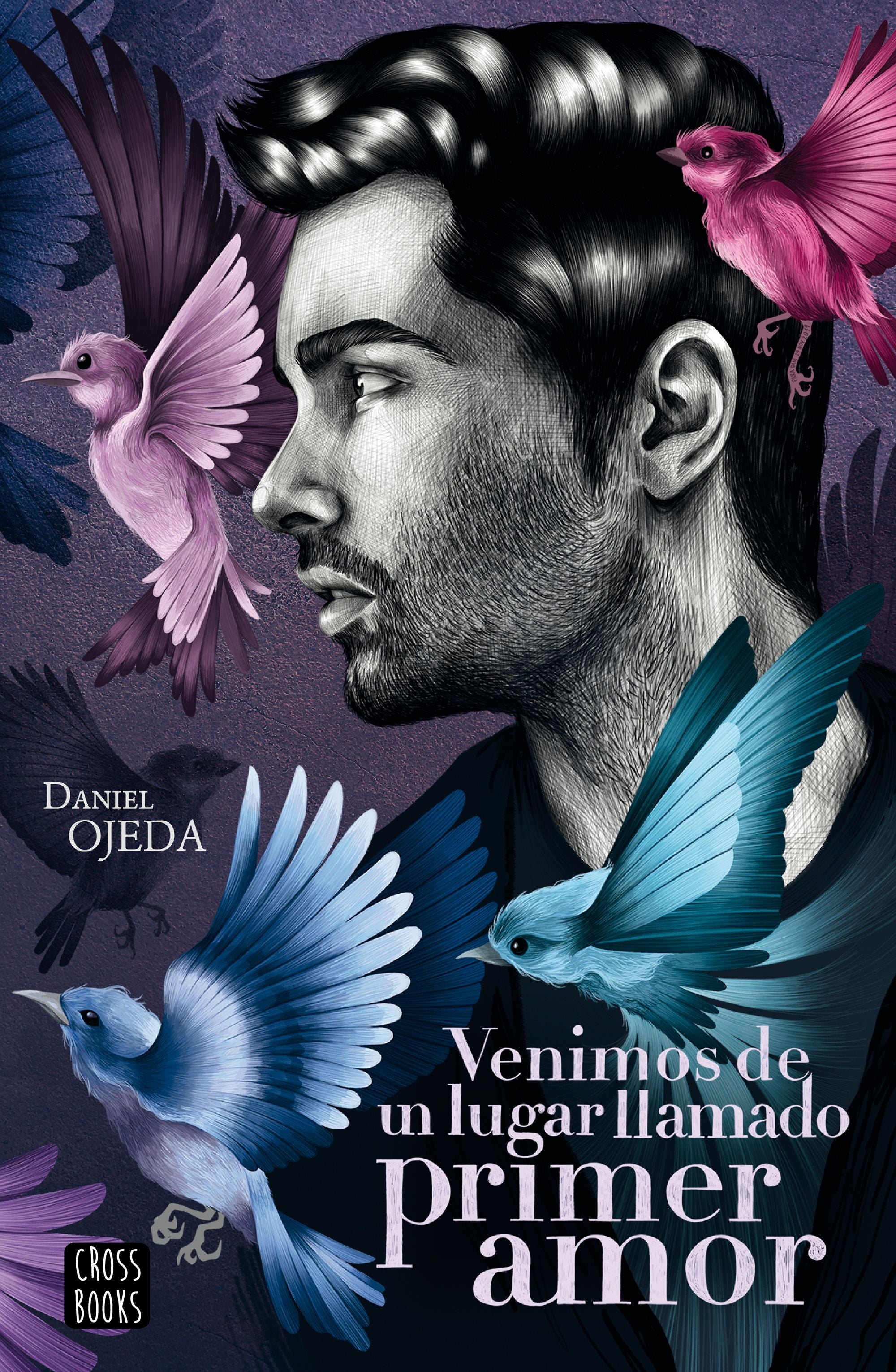 Venimos de un lugar llamado primer amor. Daniel Ojeda Checa (Crossbooks) 9788408224877 Imagen principal del producto