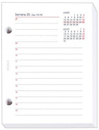 ✅ TACO CALENDARIO MYRGA SOBREMESA Nº3 2023